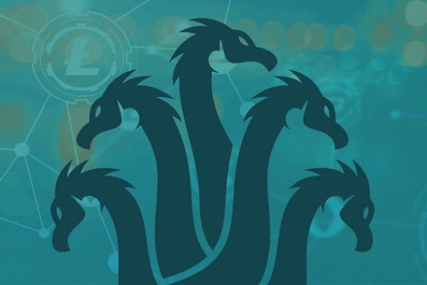 Kraken гидра