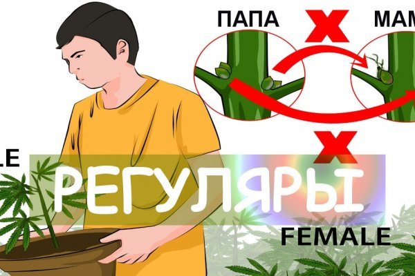Как найти сайт кракен