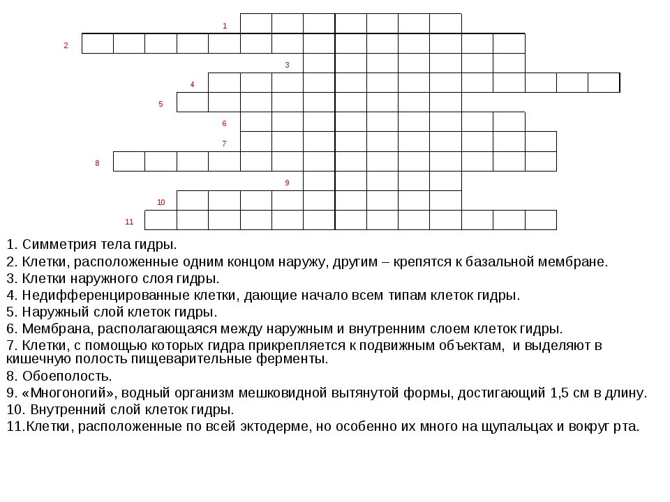 Кракен даркнет текст